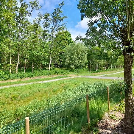 הוילה Tzummarum Wellnesshuis Met Hottub, Ligbad En Grote Tuin מראה חיצוני תמונה